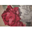 Tapis indien en laine et soie à motif floral abstrait 7 x 10