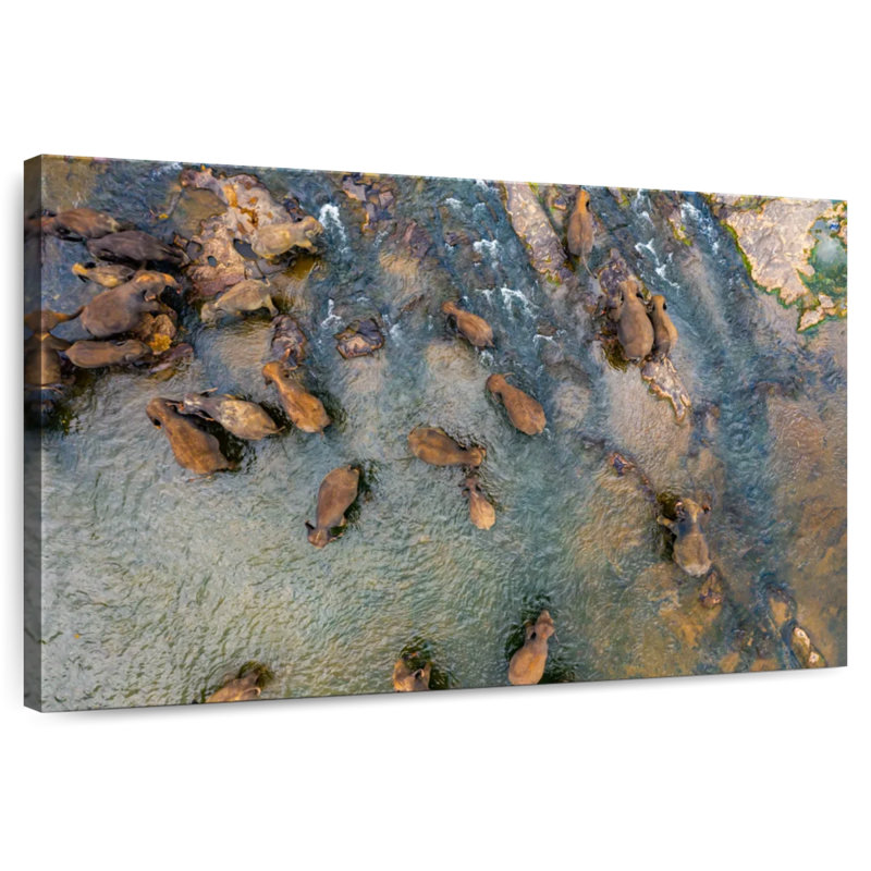Crowle Pinnawala Elephants, 16" H x 24" W