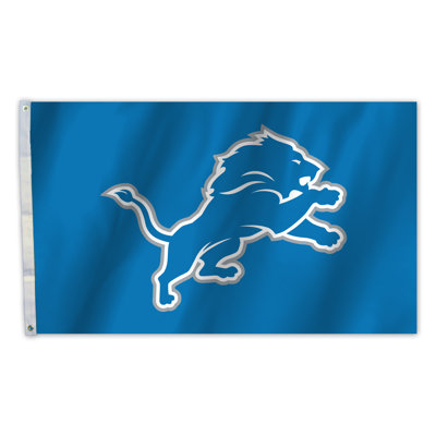 Drapeau de maison en polyester NFL 36 x 60 po