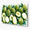 Art mural en métal beige Fruit Soursop