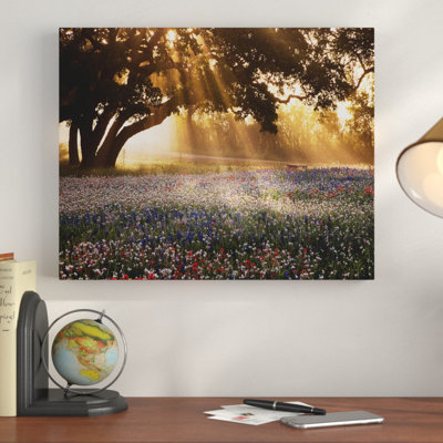 «Morning Meadow Sunrise», reproduction de photo sur toile tendue