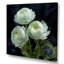 «White Ranunculus Radiance Layers Of Beauty» - art mural Renoncule-525566745-525566751