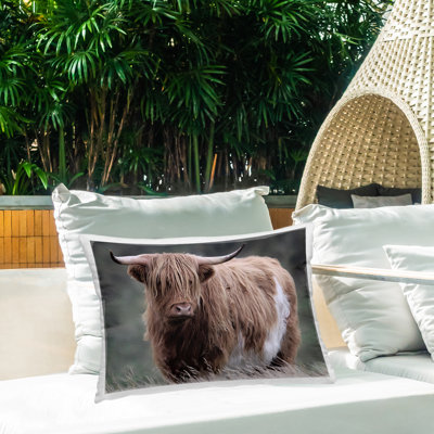 Coussin extérieur Wandering Harry Highland