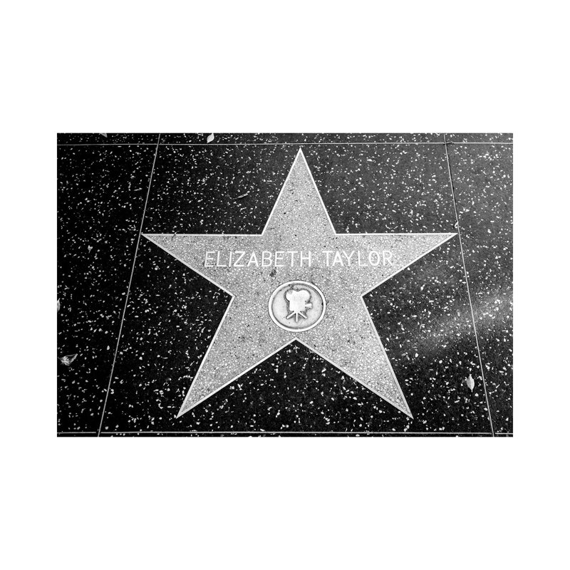 Elizabeth Taylor Star by Susanne Kremer - Gallery-Wrapped Canvas Giclée on Canvas, 101.6 cm H x 66.04 cm W, Wrapped Canvas