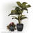 Shamell Pot Planter-66653516