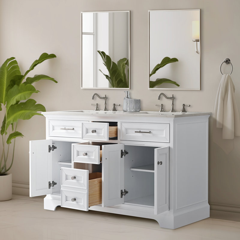 Haisley 54" W Double Vanity