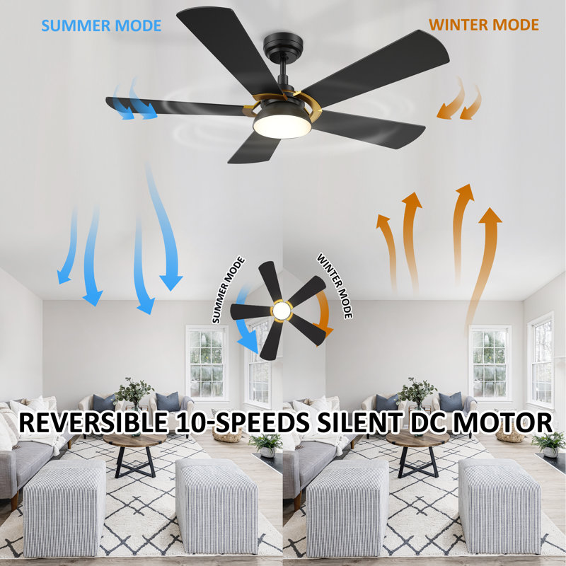 Amonnie 52'' Ceiling Fan with LED Lights, Black
