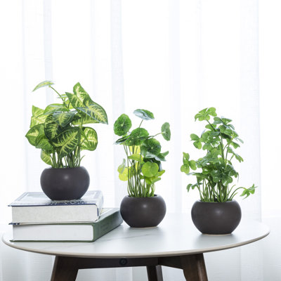 3 - Piece Indoor Artificial Foliage Plant in Brown Pot Set