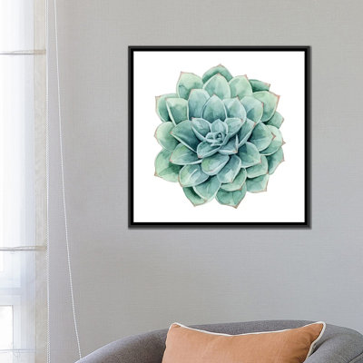 « succulent nuanciers i », impression sur toile