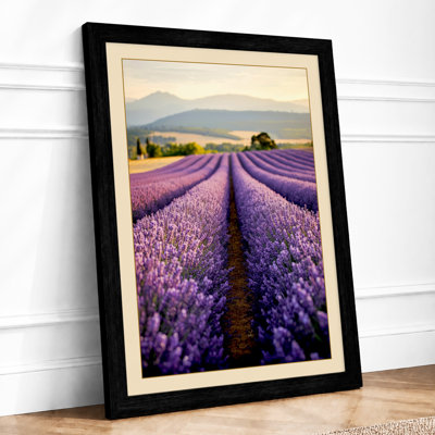 Lavender Fields at Dusk Rustic - Framed Print