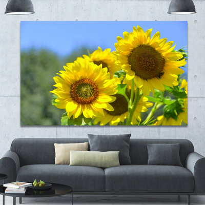 " Beautiful Sunflowers View "