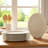 Tuxton Shell Ceramic Platter