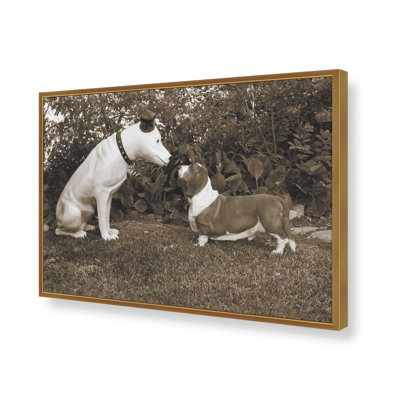 Want To Play By Jim Dratfield Art Print