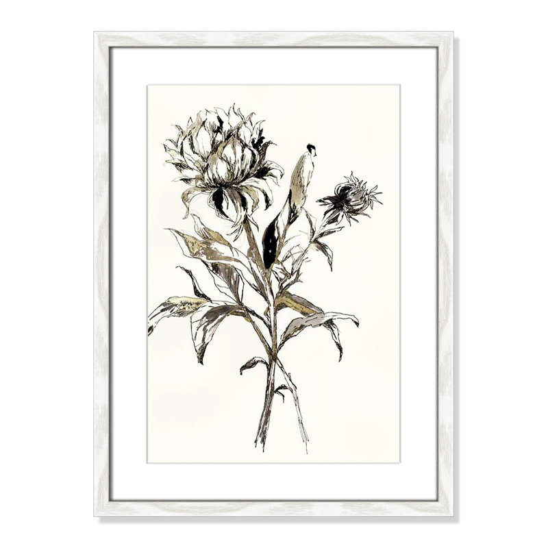 Botanical Seed I by - impression, H 23 po x l 17 po x P 0,75 po, Cadre blanc