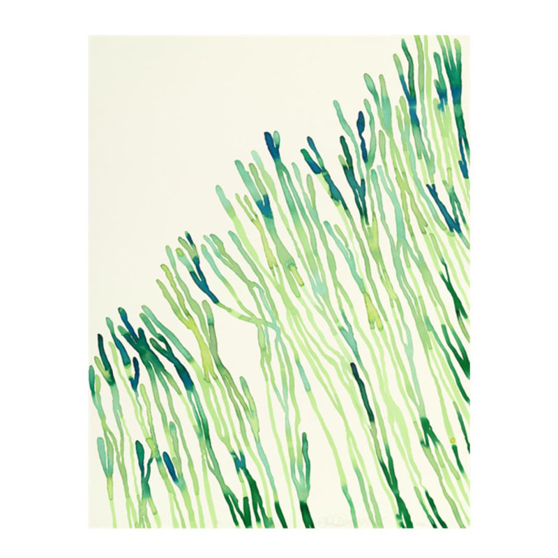 Plants XI Print by Hable Construction, Glass Coat, 61" H x 47" W