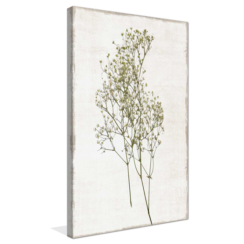 Farmhouse Pressed Flower I - Peinture, L 18 po x H 30 po, Toile tendue