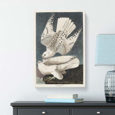 Two Gyrfalcons by John Audubon - Wrapped Canvas Painting