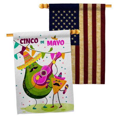 Double Sided 40 in. H x 28 in. W Polyester Cinco de Mayo House Flag