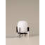 Metal Novelty Lamp