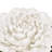 Handmade Flower Wall Decor-1606348214