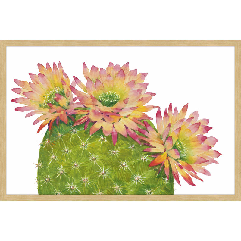 Desert Blossoms I 1 Piece Single Picture Frame Wall Art, 41cm H x 61cm W