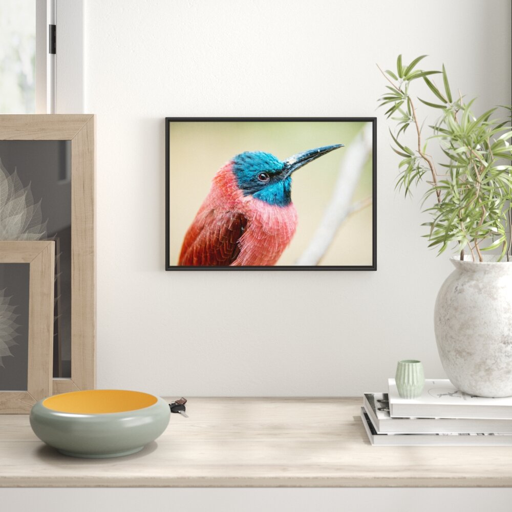 Gerahmtes Wandbild kleiner tropischer Vogel