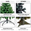 Sapin de Noël vert Douglas-337651271