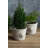 Lynda Pot Planter-659917633