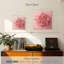 Œillet Harnek rose-109119162