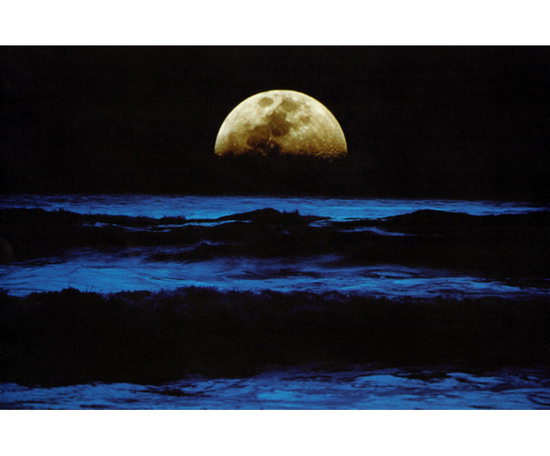 Océan au lever de la lune, H 27 po x l 40 po