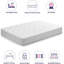 Philmont Metal Bed with Mattress-182133271-182133264