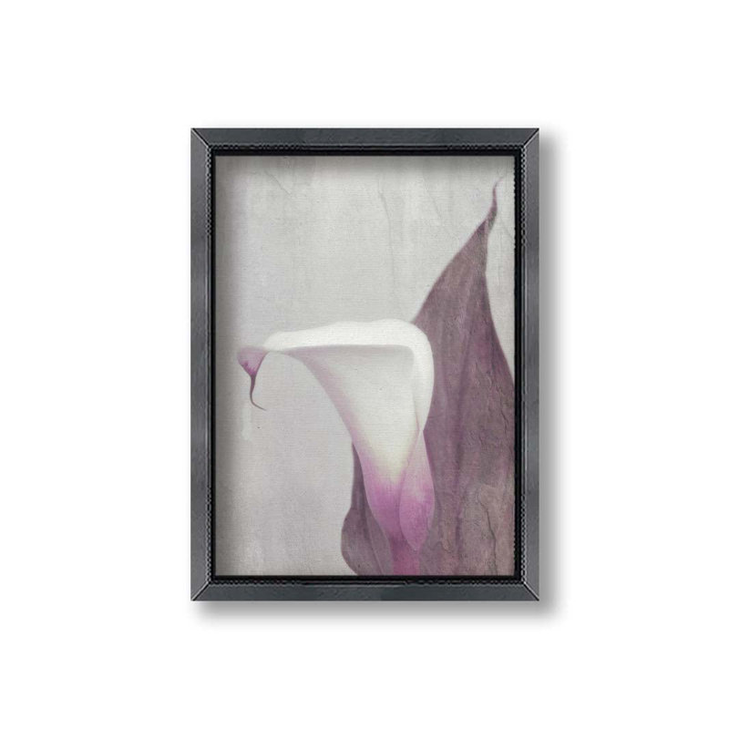 Sang Calla Lily par Hal Halli. Impression sur papier - Montée et encadrée avec de l'acrylique transparent, taille de l'image - 36 x 48