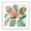 «Pink Ficus II», reproduction d'art-55543211-55543212