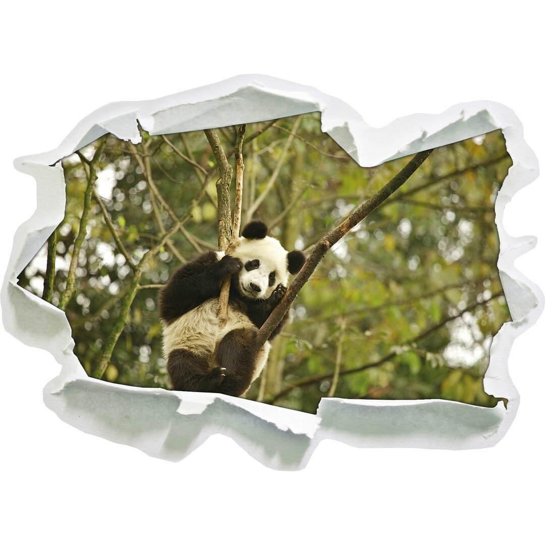 Niedlicher Panda auf Baum Wandaufkleber