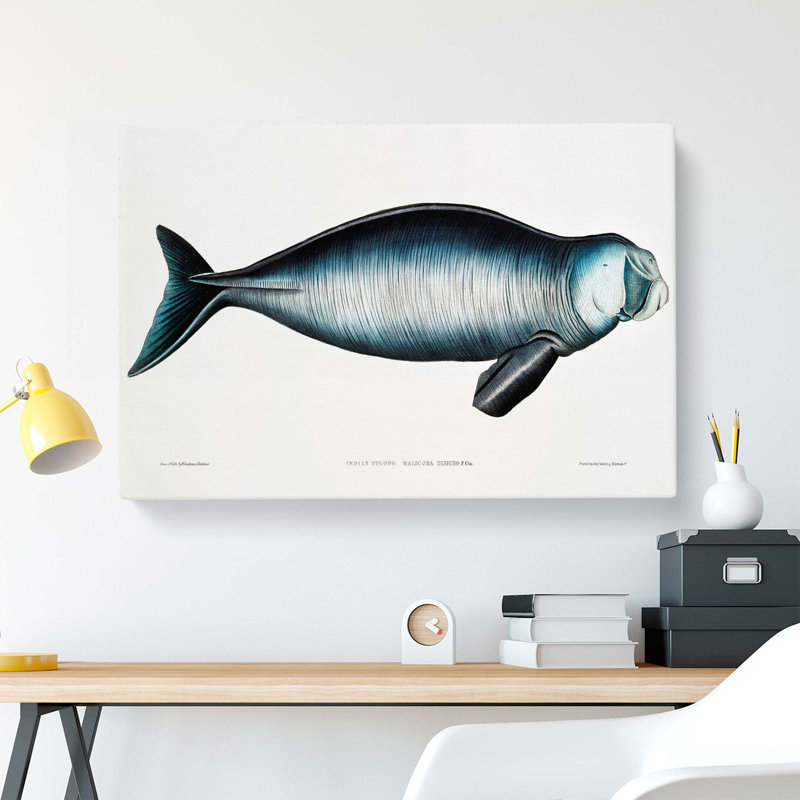Indian Dugong by John Edward Gray - Wrapped Canvas Painting, 50cm H x 76cm W x 3cm D