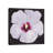 Hibiscus Portrait II by Tim OToole - Gallery-Wrapped Canvas Giclée on Canvas-528796932-528796935