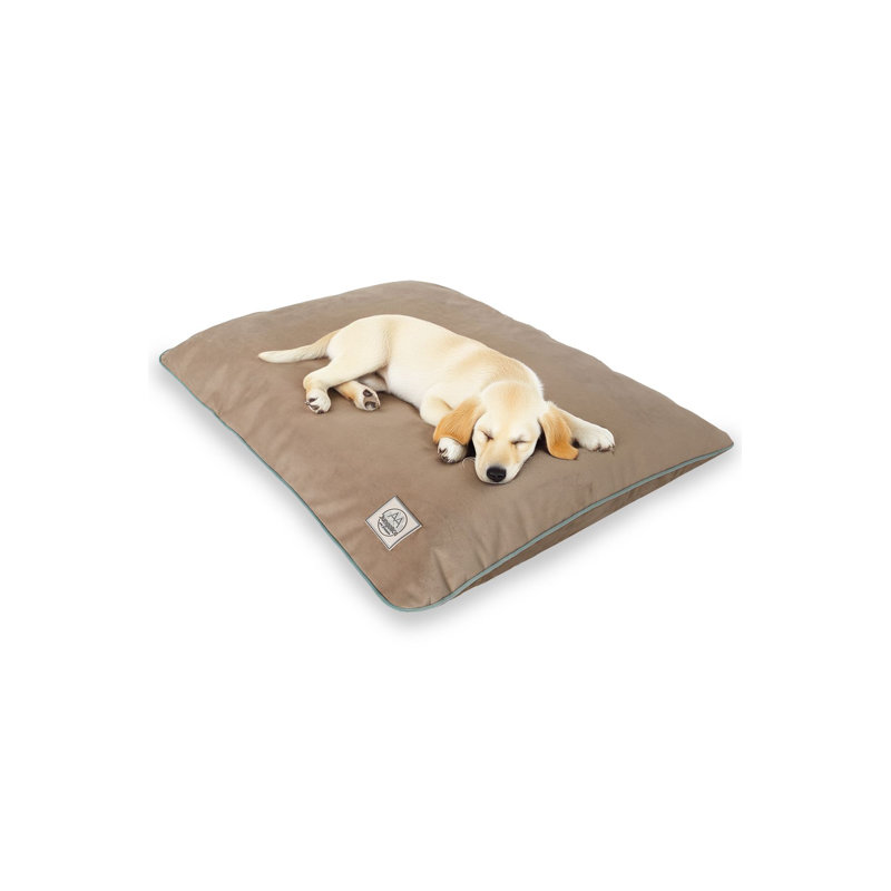 Lit pour animal de compagnie, Beige, L 31,5 po x l 19,7 po