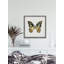 Scaly Wings - Single Picture Frame Painting-1627293853