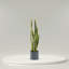Plante de serpent 36 po