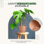 Pots à plantes d'intérieur avec drainage-1952380653