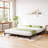 Bed Frame No Box Spring Needed, Heavy Duty Metal Platform Bed Frame, Black-956620862-947464338-954376485