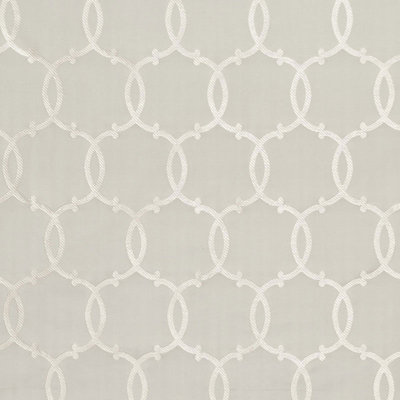 Tracery Silk Fabric