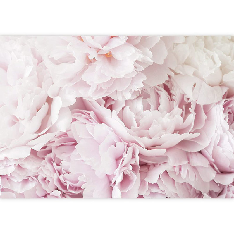 Adhésif floral pétales floraux rose, L 66 po x l 96 po