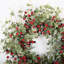 26" Artificial Eucalyptus Berry Fall Winter Front Door Wreath For Christmas
