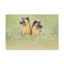 No Frame Print on Canvas-100038903