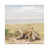 Wrapped Canvas is unavailable