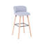 Kaylah Upholstered Counter Stool