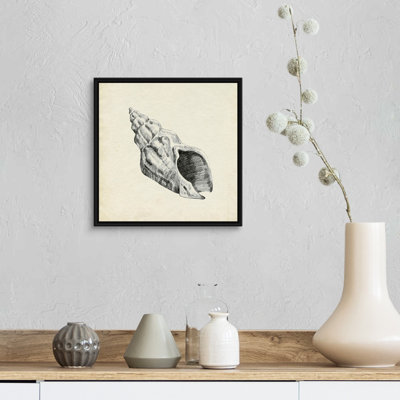 " Seashell Pencil Sketch II " by Emma Caroline Painting Print