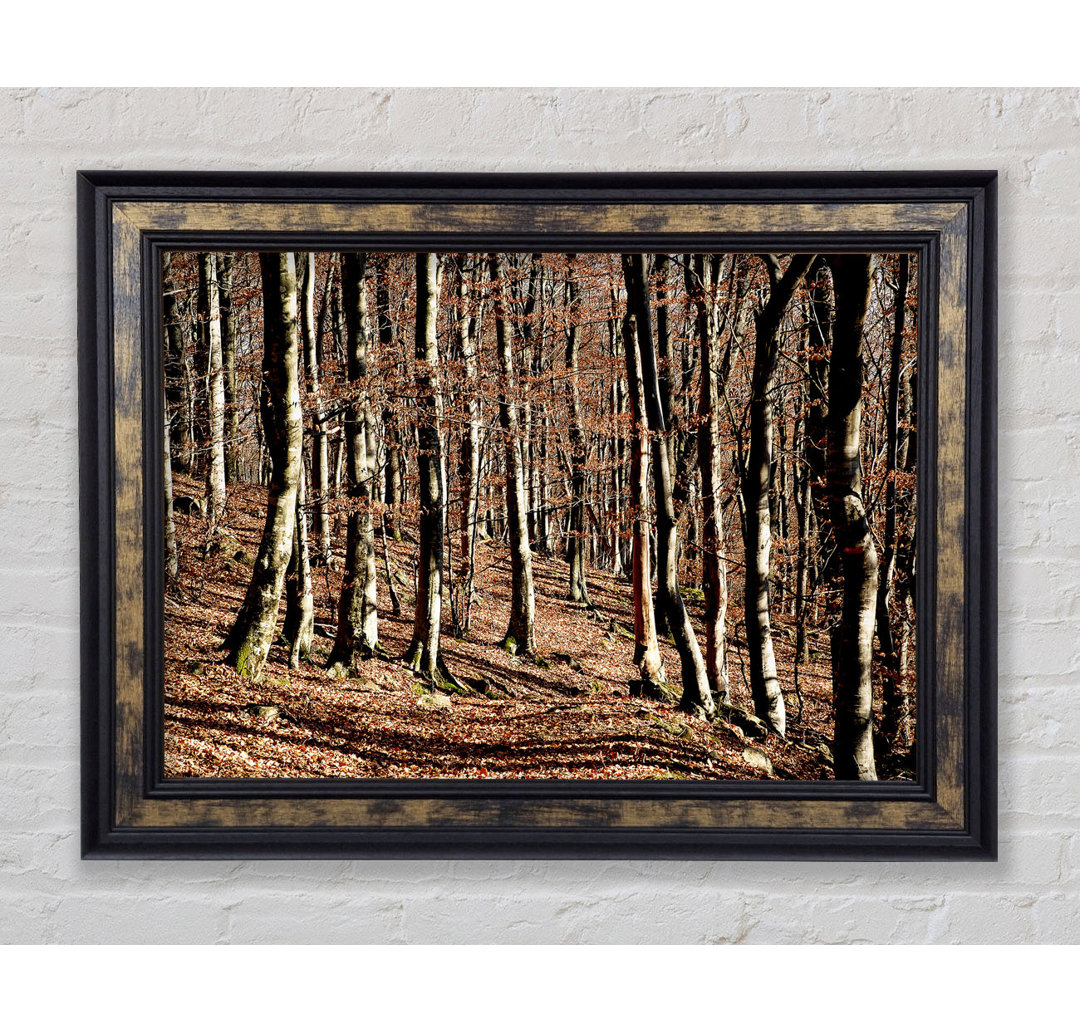 Woodland Beauty - Einzelner Bilderrahmen Kunstdrucke