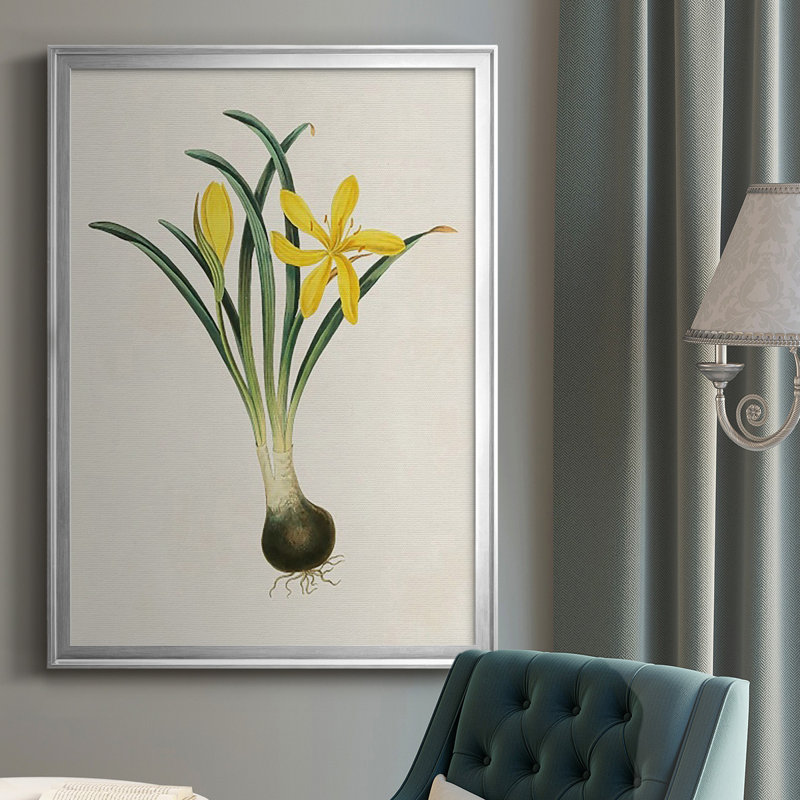 Fleurs des saisons VI, reproduction encadrée de qualité supérieure - prête à être accrochée, Argent